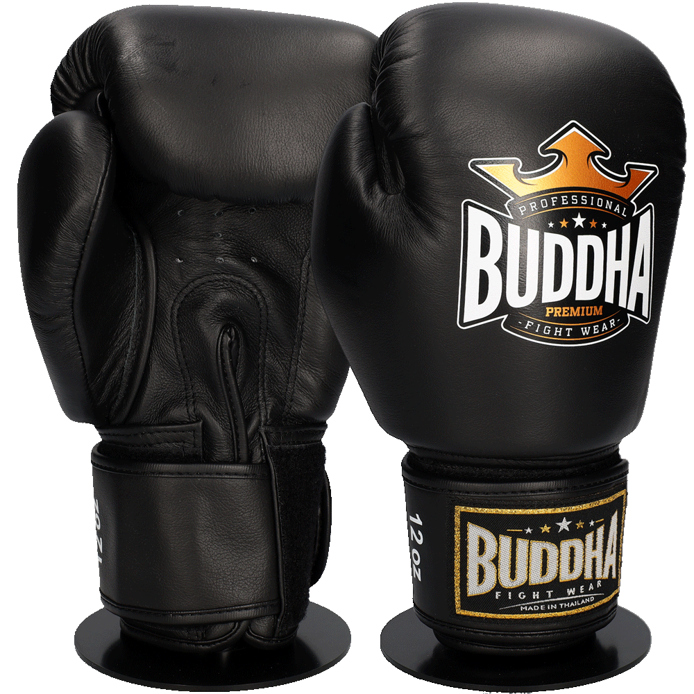 Buy muay thai gloves online